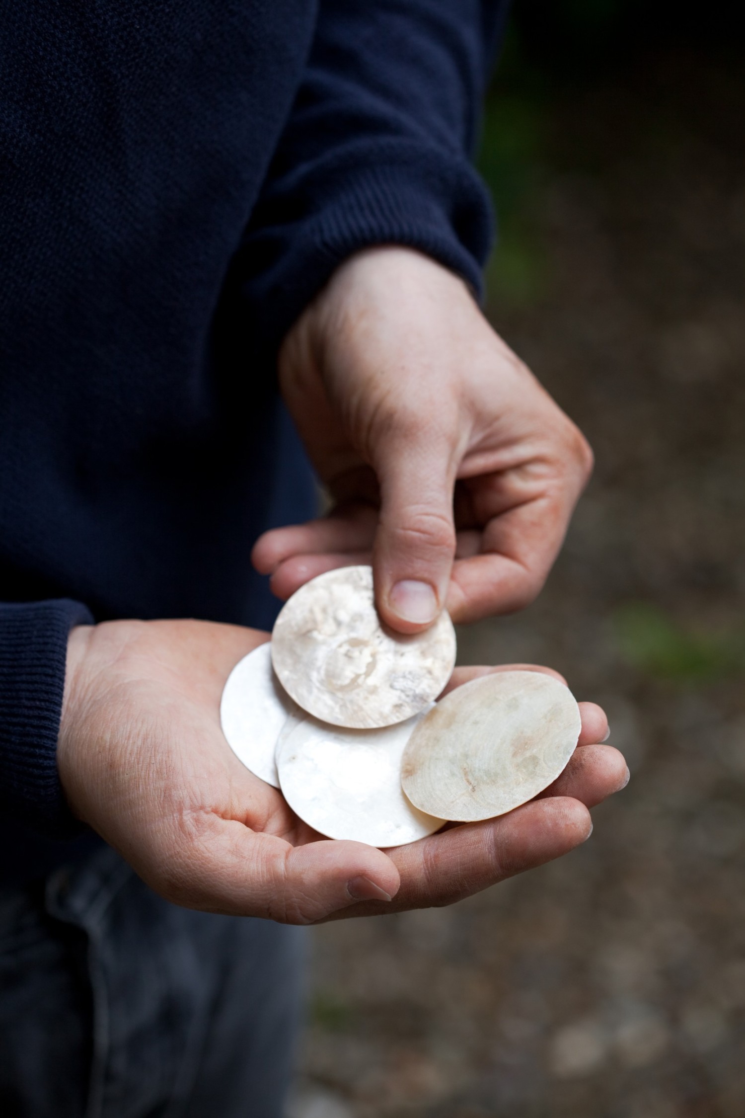 capiz-shell-nature-squared.jpg