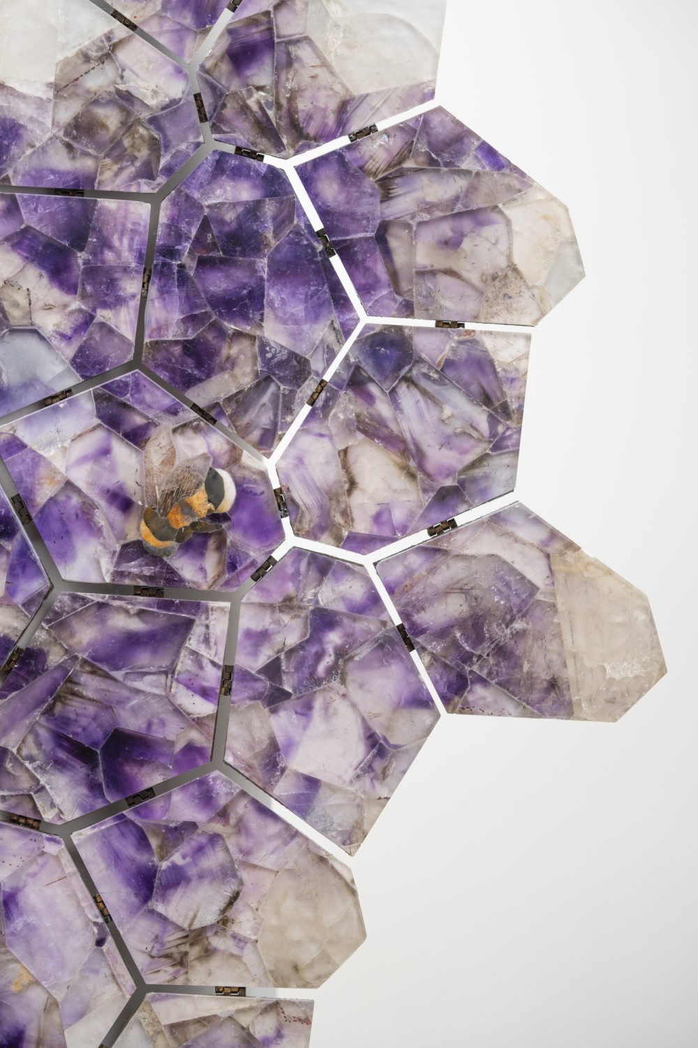 atelier-terre_bougainvillier.jpg